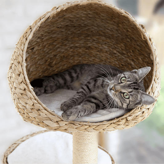 Tovasan® Fluid 1 l Nachfüllflasche