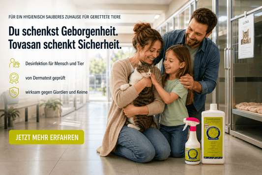 KI generiert