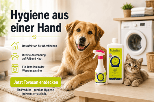 Giardienbekämpfung bei Hund und Katze: Giardien sicher entfernen